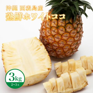 yӂ邳Ɣ[Łz s\ pCibv  nNzCgRR(R) 3kg 2`3 2026N  Vi  pC RRibcɎ ʕ t[c fU[g