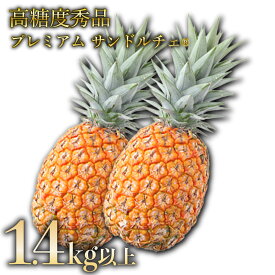 【ふるさと納税】GOKUJUKU-極熟プレミアムサンドルチェ(R) 1.4kg以上 1玉　2026年　先行予約 パイナップル 沖縄 高糖度秀品 贈答用 贈り物 パイン 果物 フルーツ デザート 希少 西表島