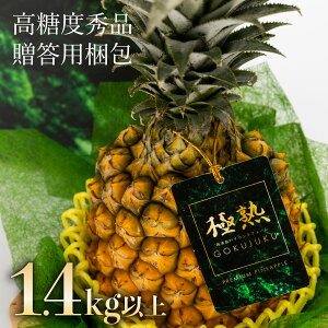 yӂ邳Ɣ[Łz2026N s\ GOKUJUKU -ɏn- v~A XibNpC ʕ t[c