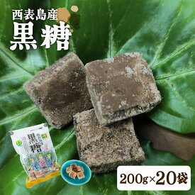 【ふるさと納税】黒糖 西表島産 20袋セット