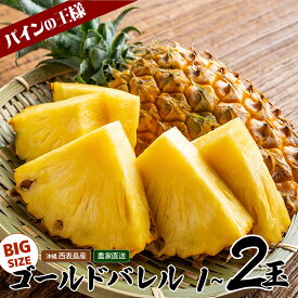 【ふるさと納税】〈選べる数量〉【2026年発送】ゴールドバレルビッグな1玉/2玉セット