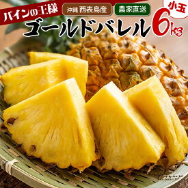 【ふるさと納税】2025年発送 ゴールドバレルたっぷり小玉セット