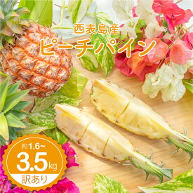 【ふるさと納税】【内容量が選べる】【訳あり】☆新感覚の味わい☆ 桃のような芳醇な香りのする『西表島産 完熟ピーチパイン 約1.6〜3.5kg お届け:2026年4月下旬～6月下旬