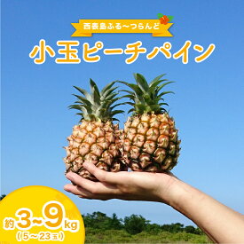 【ふるさと納税】＜内容量が選べる＞2026年 先行予約 小玉 ピーチパイン 約3～9kg(5～23玉) ★西表島ふる～つらんど★美味しさギュッと！ 果物 フルーツ パイン