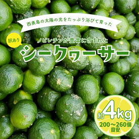 【ふるさと納税】訳あり 2025年 先行予約 青切り シークヮサー 約4kg ☆西表島ふる〜つらんど☆ 果物 フルーツ 　【果物類・柑橘類・フルーツ・ シークヮ—サー】　お届け：2025年8月上旬〜10月下旬