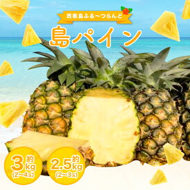 【ふるさと納税】2026年 先行予約 島パイン (ハワイ種) 約2.5〜3kg 2〜4玉 パイナップルの王道 【西表島産 パイン 果物 フルーツ 南国フルーツ パイナップル 沖縄県竹富町】　お届け：2026年6月中旬〜7月下旬（収穫でき次第順次発送）