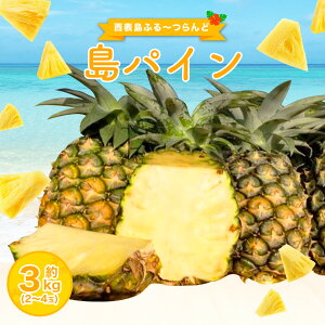 yӂ邳Ɣ[Łz2026N s\ pC (nC) 2.5`3kg 2`4 pCibv̉ y\Y pC ʕ t[c 썑t[c pCibv ꌧ|xz@͂F2026N6