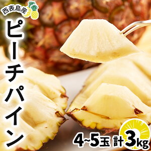 yӂ邳Ɣ[ŁzIׂeʁ2026N s\ s[`pC 1.5kg`3kg 2~5 \ӂ`ǁs̐lCNo.1 yʕ t[c pC ʕlEt[cEs[`pCz@