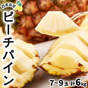 【ふるさと納税】<選べる容量>2026年 先行予約 ピーチパイン 約1.5kg〜6kg 2~9玉 ★西表島ふる〜つらんど★不動の人気No.1 【果物 フルーツ パイン 果物詰合せ・フルーツ・ピーチパイン】 お