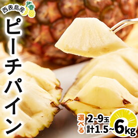 【ふるさと納税】＜選べる容量＞2026年 先行予約 ピーチパイン 約1.5kg〜6kg 2~9玉 ★西表島ふる～つらんど★不動の人気No.1 【果物 フルーツ パイン 果物詰合せ・フルーツ・ピーチパイン】　お届け：2026年5月上旬〜7月上旬
