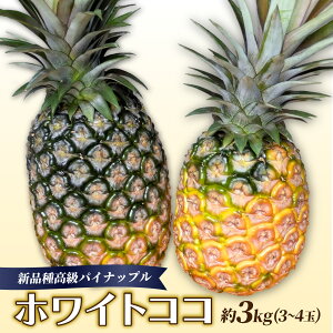 【ふるさと納税】新品種高級パイナップル ホワイトココ 希少品種 ココナッツの香り 約3kg(3〜4玉)お届け時期:2026年6月上旬〜7月中旬(収穫でき次第順次発送)