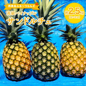 yӂ邳Ɣ[ŁzpCibv FȍƊÂ Th`F 2.5kgi2`3ʁj