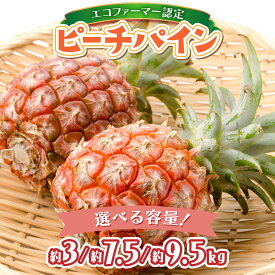 【ふるさと納税】＜選べる容量＞2026年 先行予約 栽培期間中 農薬不使用 ピーチパイン 約3kg〜9.5kg ★絶品★西表島 濃香 初エコファーマー認定 栽培期間中 農薬不使用 西表島 濃香 初エコファーマー認定 お届け：2026年5月中旬〜7月中旬