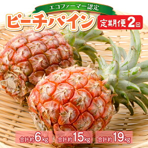 yӂ邳Ɣ[ŁzeʂIׂ遄 2 2026N s\ s[`pC 3kg`9.5kg \ i GRt@[}[F pC ʕ t[c 2 y݁@yցE|xz@