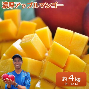 【ふるさと納税】【内容量が選べる】 2026年 先行予約 アップルマンゴー 約1〜4kg 2〜12玉 セット 八重山マンゴー品評会総合1位を計3回獲得!高糖度保証!農園ファイミール 濃厚 果物 フルー