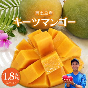 【ふるさと納税】2026年 先行予約 マンゴー 約1.8kg 2〜4玉 希少品種 濃密 キーツマンゴー 高糖度保証!農園ファイミール 果物 フルーツ 【果物・フルーツ・マンゴー・キーツマンゴー・約2kg