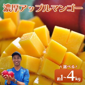 【ふるさと納税】【内容量が選べる】 2026年 先行予約 アップルマンゴー 約1〜4kg 2～12玉 セット 八重山マンゴー品評会総合1位を計3回獲得！高糖度保証！農園ファイミール 濃厚 果物 フルーツ　【竹富町】　お届け：2026年6月中旬～7月下旬