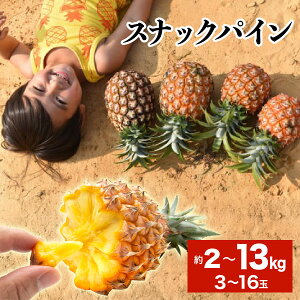 yӂ邳Ɣ[ŁzIׂeʁ2026N s\ XibNpC 2kg`13kg @3`16 \Ђ炢_ ypCibv ʕ t[c pC ʕlEt[cEpCibvz@