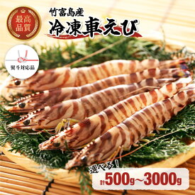 【ふるさと納税】【内容量が選べる！】竹富島産 車えび 冷凍車海老 500g〜3kg 【 海老 車エビ エビ 車海老 竹富島産 冷凍】