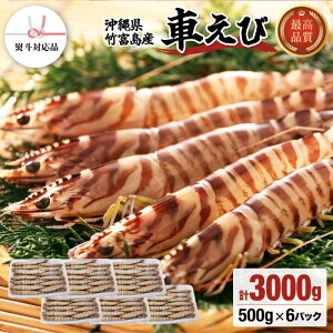 【ふるさと納税】【内容量が選べる!】竹富島産 車えび 冷凍車海老 500g〜3kg 【 海老 車エビ エビ 車海老 竹富島産 冷凍】