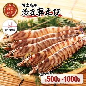 【ふるさと納税】竹富島産 車えび 活車えび 500g〜1kg 【 海老 車エビ エビ 車海老 竹富島産】