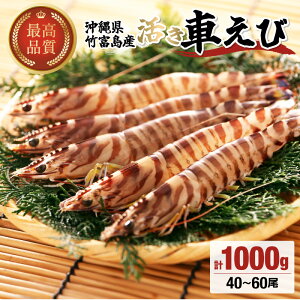 yӂ邳Ɣ[Łz|xY Ԃ Ԃ 500g`1kg y CV ԃGr Gr ԊCV |xYz