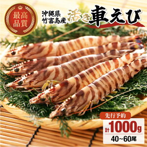 yӂ邳Ɣ[Łzs\ Ԃ 500g`1kg y CV ԃGr Gr ԊCV |xYz