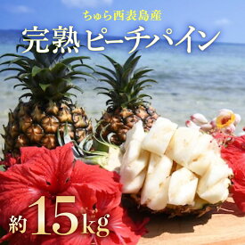【ふるさと納税】2026年 先行予約 ピーチパイン 約15kg 15～23玉 ちゅら西表島産!! ゆたか農園 完熟 パイン 果物 フルーツ パイナップル