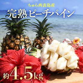 【ふるさと納税】2026年 先行予約 ピーチパイン 約4.5kg 5玉～8玉 ちゅら西表島産!! ゆたか農園 完熟 パイン 果物 フルーツ パイナップル