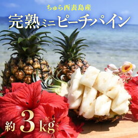【ふるさと納税】2026年 先行予約 ミニ ピーチパイン 約3kg 5玉～8玉ちゅら西表島産!! 完熟 パイン 果物 フルーツ パイナップル