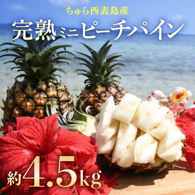 【ふるさと納税】2026年 先行予約 ミニ ピーチパイン 約4.5kg 9玉～12玉ちゅら西表島産!! 完熟 パイン 果物 フルーツ パイナップル