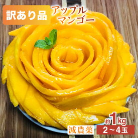 【ふるさと納税】【訳あり】減農薬 アップルマンゴー 約1kg 2〜4玉 ＜先行予約＞【お届け：2026年6月中旬～7月下旬】アナナス農園 完熟 マンゴー 果物 フルーツ
