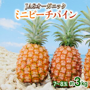 yӂ邳Ɣ[ŁzyIׂeʁz2026N s\ pCibv Ɏ ]Ԓ JASI[KjbN s[`pC3kg JASI[KjbNor_ ~j7`8 3`6ʁyʕ l t[