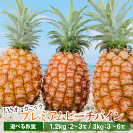 【ふるさと納税】＜選べる容量＞【JASオーガニック】プレミアムピーチパイン 約1.2kg〜3kg　2～6玉【2026年 先行予約 南国 パイナップル 果物 フルーツ パイン 竹富町】　お届け：2026年4月中旬～6月上旬