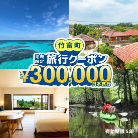 【ふるさと納税】沖縄県竹富町　日本旅行　地域限定旅行クーポン300,000円分【チケット 旅行 宿泊券 ホテル 観光 旅行 旅行券 交通費 体験 宿泊 夏休み 冬休み 家族旅行 ひとり カップル 夫婦 親子 トラベルクーポン 竹富町旅行】