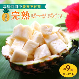 yӂ邳Ɣ[ŁzyeʂIׂz2026N s\ \̊ns[`pC 3`9kg (3`12) yÖ{X n ʕ t[cz͂F5{`6{