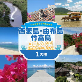【ふるさと納税】西表島・由布島・竹富島3島めぐり（竹富フリープラン）【 ツアーチケット 】 お届け：入金確認後1〜2週間後