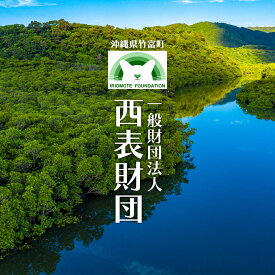【ふるさと納税】＜寄附額が選べる＞一般財団法人西表財団　【 沖縄 感謝状 ごみクリーン 環境 】