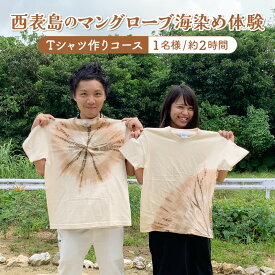 【ふるさと納税】西表島のマングローブ海染め体験　Tシャツ作りコース（約2時間）【 竹富町 体験 】