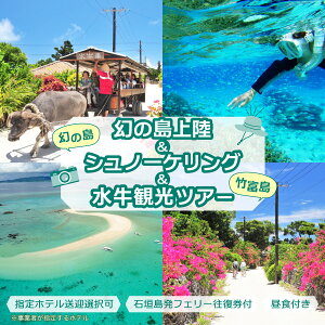 yӂ邳Ɣ[Łz̓㗤{Vm[PO+|xόcA[@`XJtȋ̒Vm[PO1^Ht^sXn}^Ί_y s ̌`Pbgό 