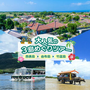 yӂ邳Ɣ[ŁzlC3߂cA[ \ERzE|x𖞋iAcA[ }O[uV{ԁ{Iׂ|xł̉߂1^Hty s ̌`Pbg