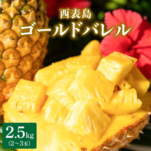 yӂ邳Ɣ[ŁzyeʂIׂzNo.1IJ30NE͔|3NBpCibv̍ōS[ho1.5`2.5kg(1`3)