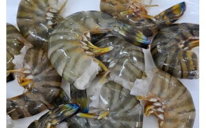 yӂ邳Ɣ[Łz̎ԊCV ԊCV Ⓚ 250g×3pbN v750g ^ߍ  ^ߍ ԃGr N}Gr Ԃ ܂ GrtC uߕ g aH mH {B j N