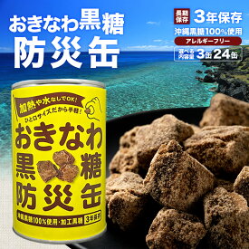 【ふるさと納税】個数を選べる【沖縄黒糖100%】おきなわ防災黒糖缶 130g 3缶 or 24缶（1ケース）3年保存 長期保存 非常食 備蓄食料 災害 防災 緊急時 完全無添加 ミネラル補給 | 沖縄 与那国 黒砂糖 純黒糖 OV-1