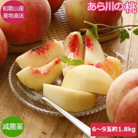 2027年7月分予約 【全額返金】 減農薬 あら川の桃 桃 荒川 あらかわ 6~9玉約1.8kg 化粧箱入 贈答用 白鳳 清水 白桃 川中島 なつっこ 産地直送 ※ ふるさと納税 ではありません SU