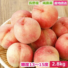 7月分予約 糖度13～15度 桃 減農薬 訳あり 約2.8kg 9～12玉入 品種お任せ 川中島白桃 長野産 産地直送 小山 SSS なつっこ