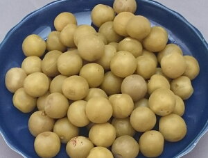 F _C 1kg STCY Y JJ~ ~Ђ ~ JJ S10  ӂ邳Ɣ[ ł͂܂