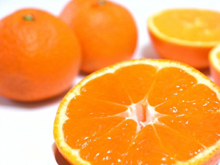 市場 2023年分予約 低農薬 和歌山産 約 7.5kg オレンジ ネーブル
