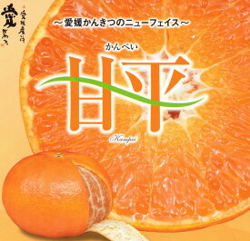 2025年2月分予約 愛媛県産 甘平 かんぺい 約5kg 15～25個 産地箱入 S10