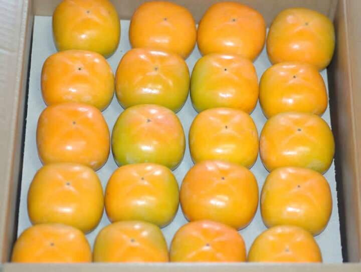 和歌山県 九度山産 種無し柿 家庭用 8個から12個９月15から２０日発送予定